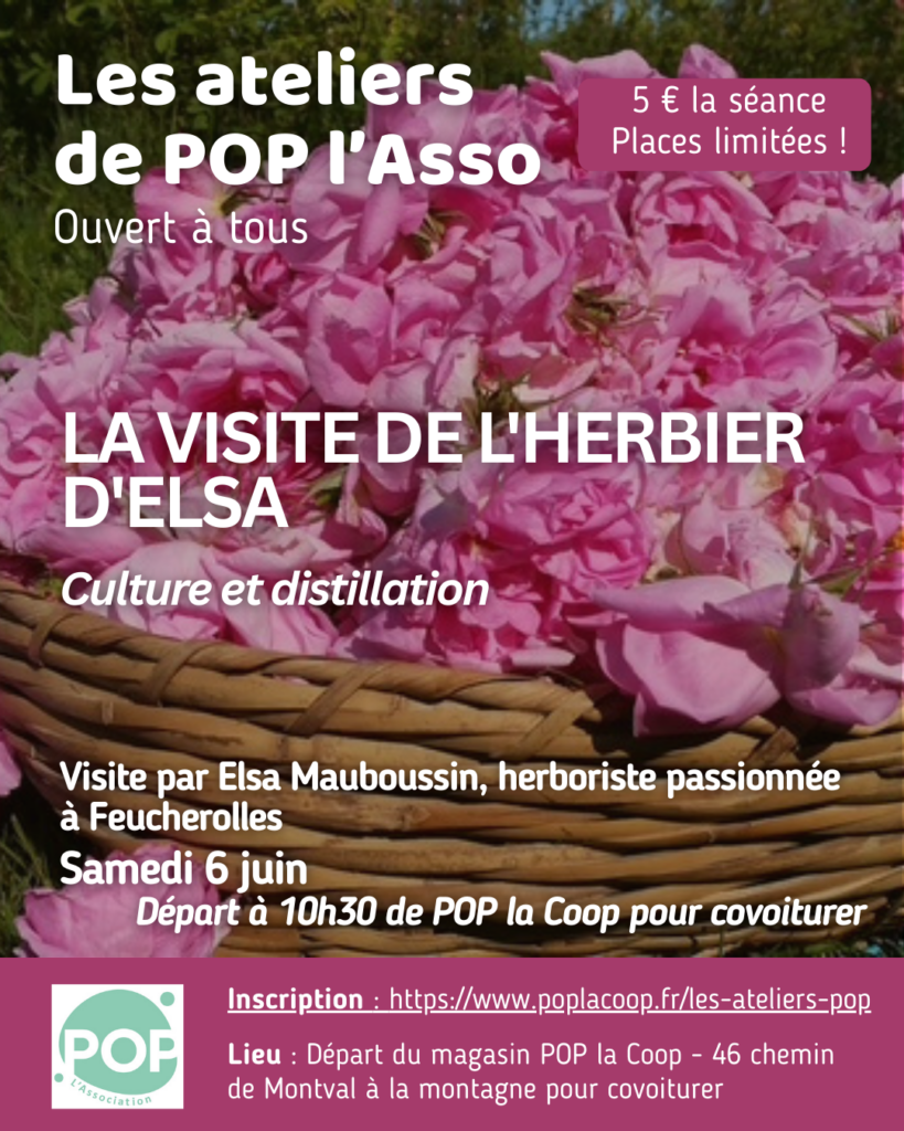 Atelier Visite de l'herbier d'Elsa