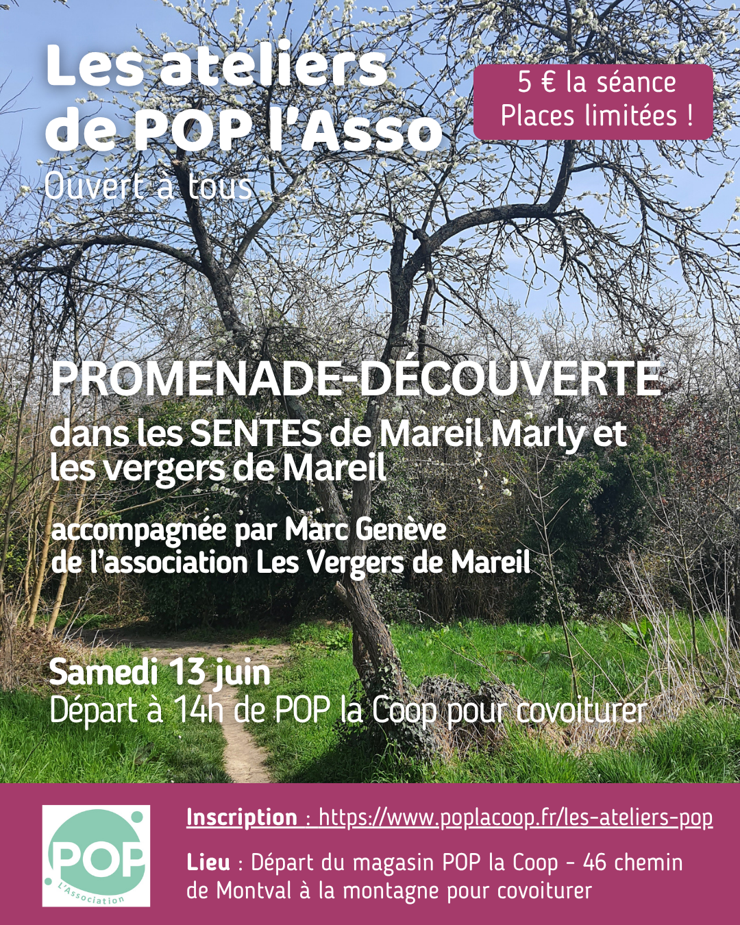 Les sentes de Mareil